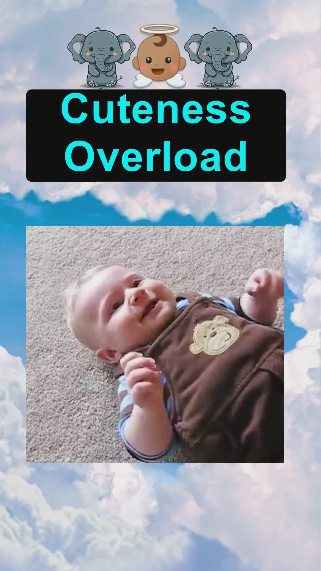Load video: Cuteness Overload